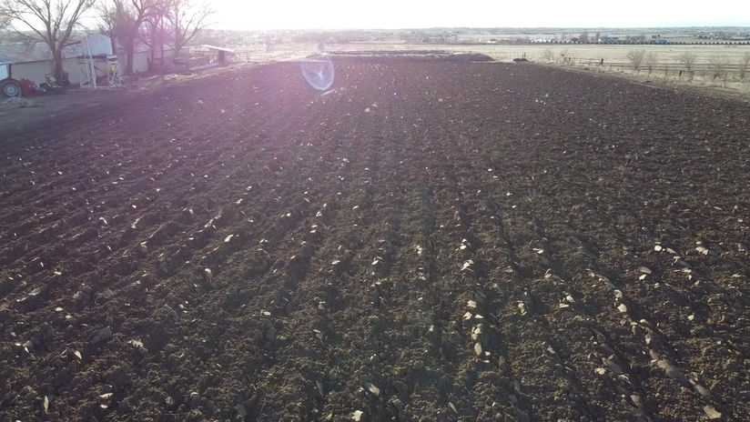 2023-03-18 Plowed flower field